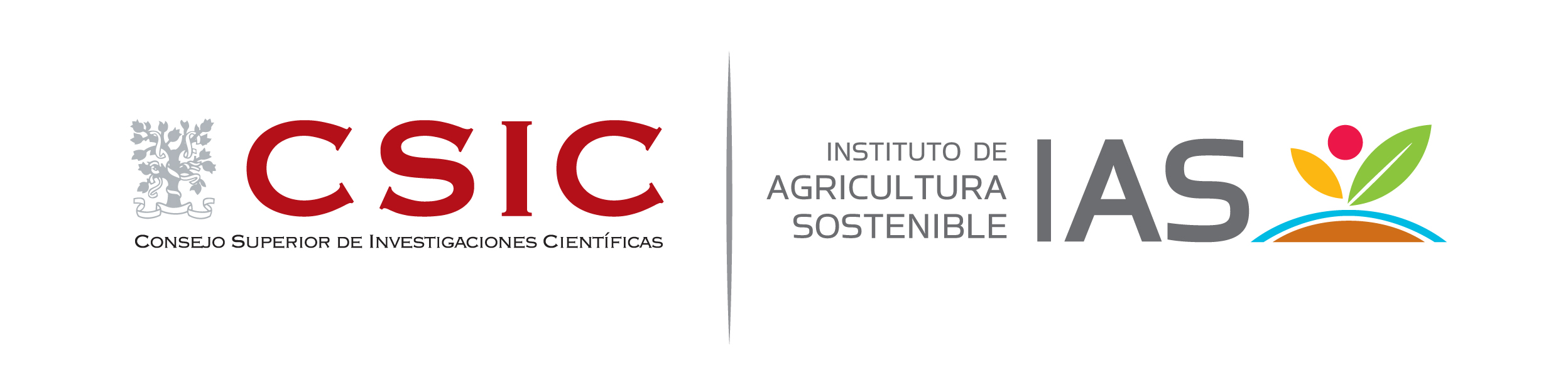 CSIC IAS