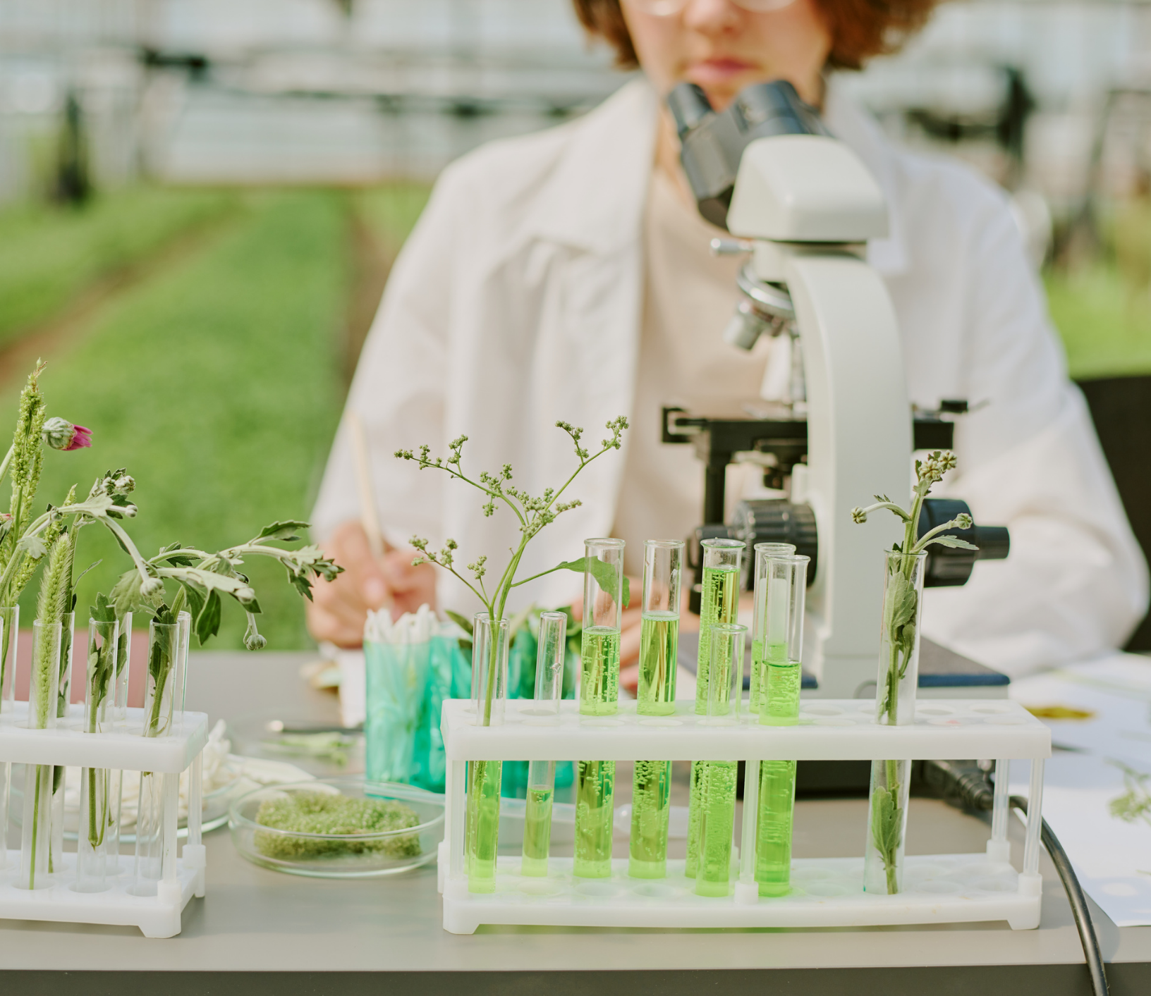 Inscripción Jornadas