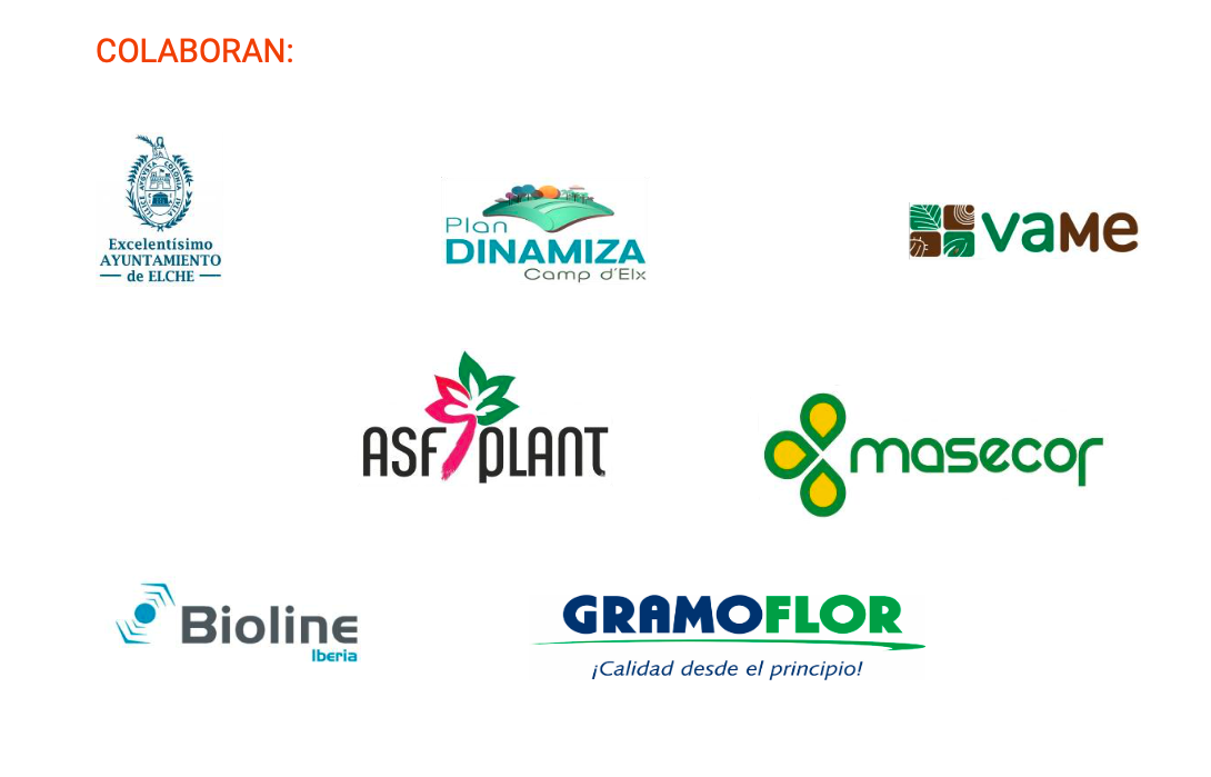 Colaboran