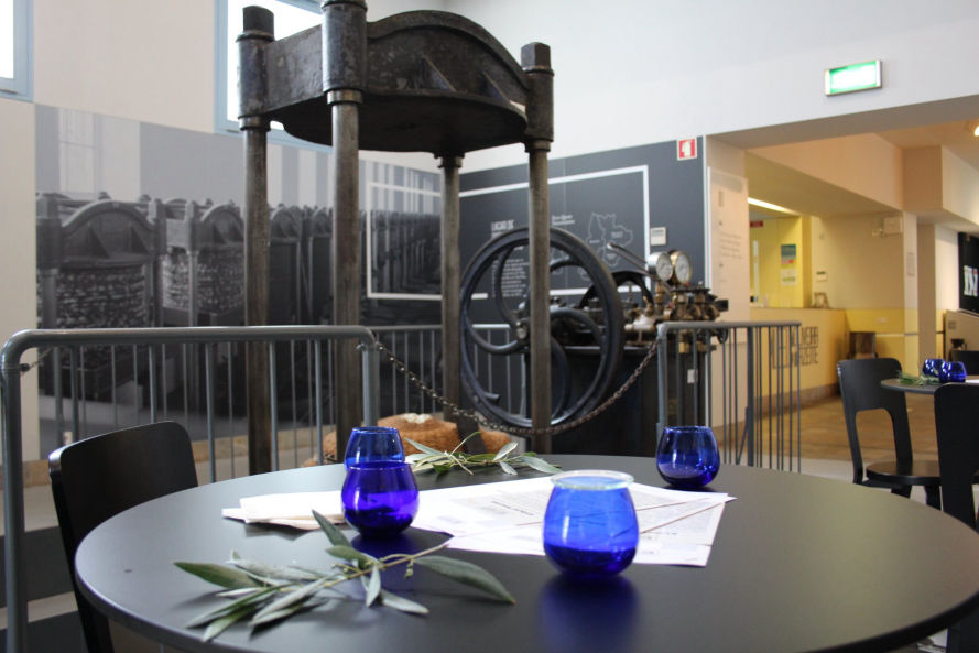 Museu da Oliveira e do Azeite de Mirandela