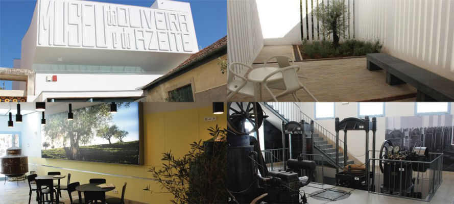Museu da Oliveira e do Azeite de Mirandela