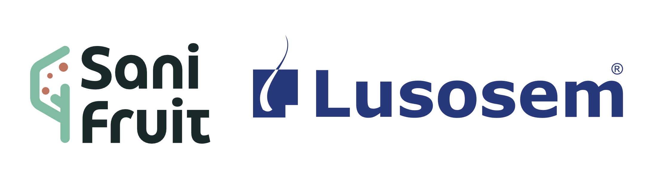 Lusosem