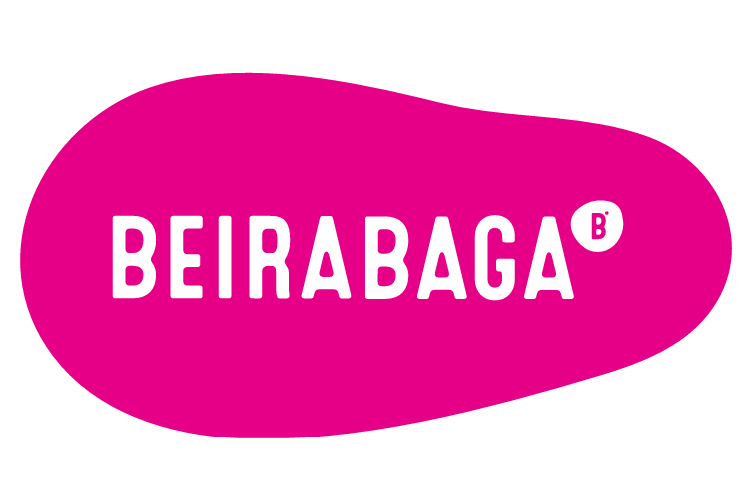 Logo 13