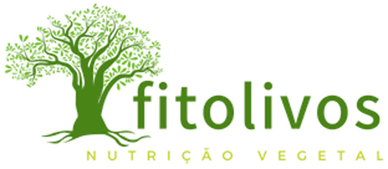 Logo 12