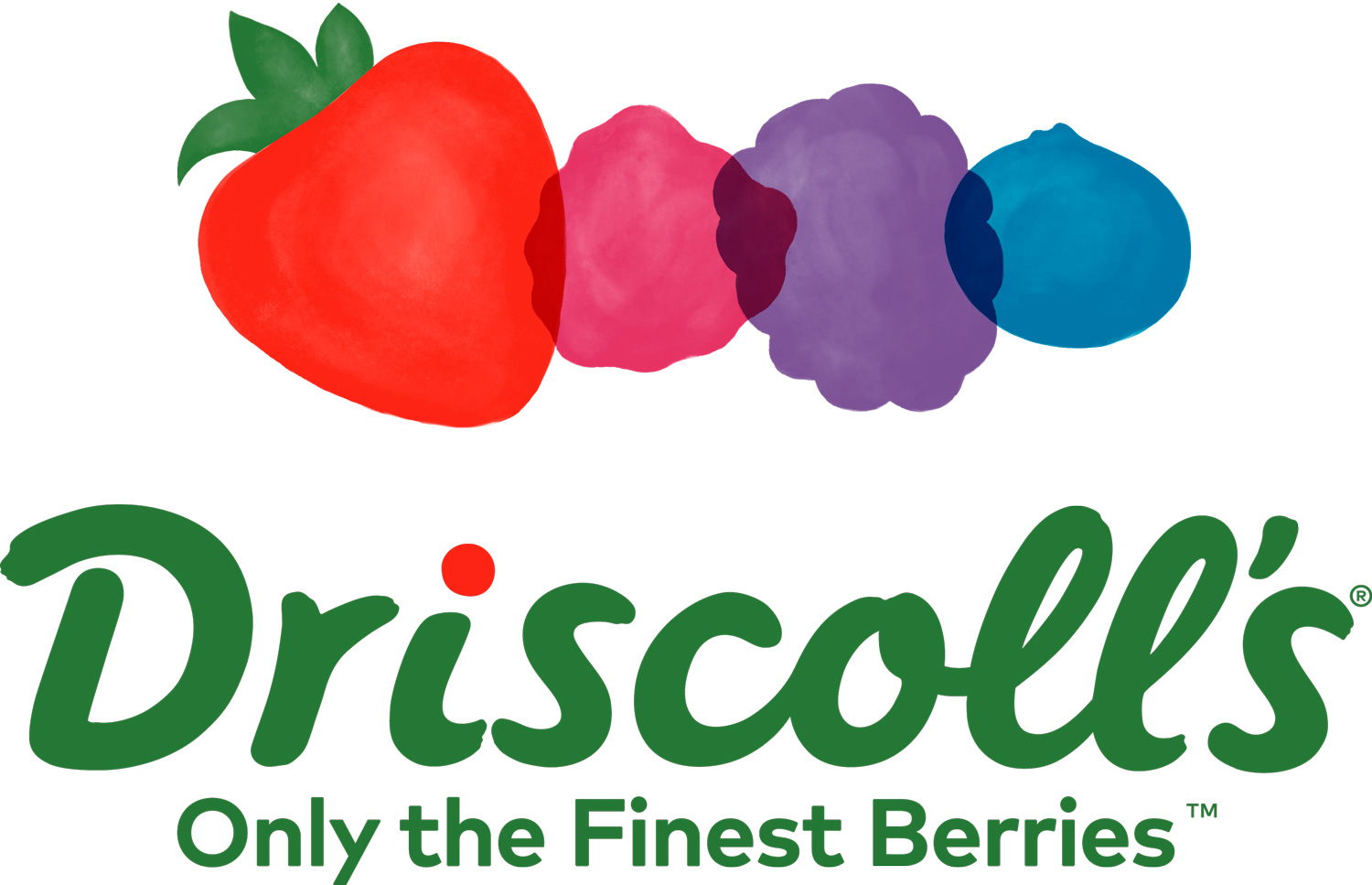 Logo 29