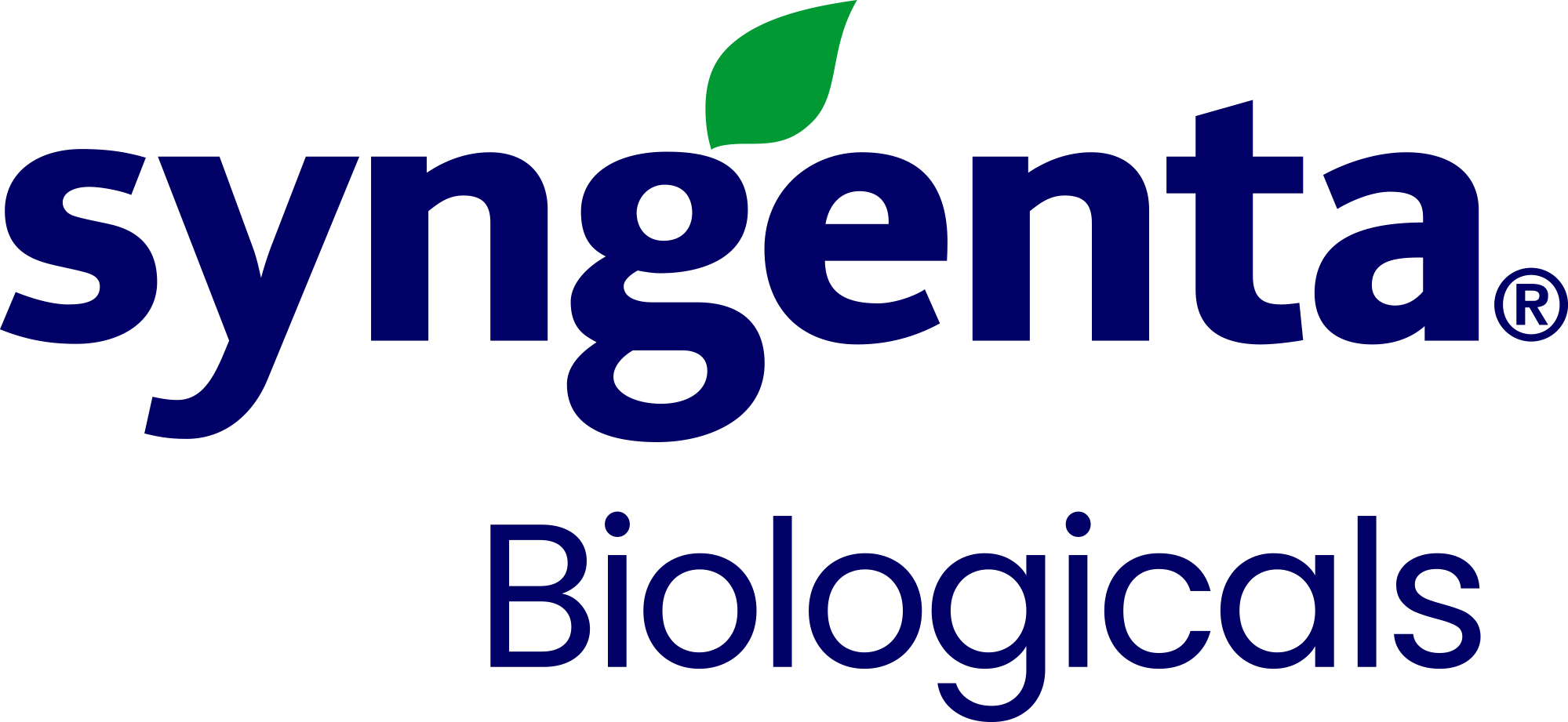 Logo 15