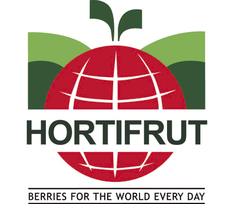 Logo 11