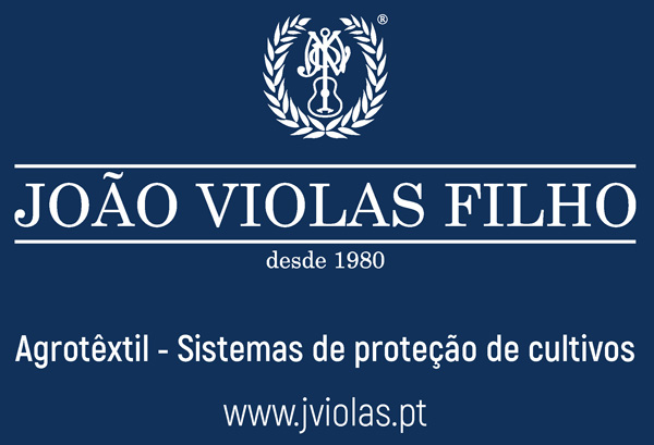 Logo 31
