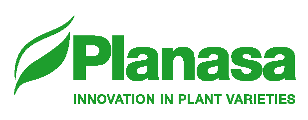 Logo 18