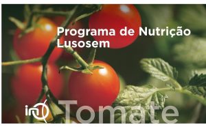 Programa de Nutrição Lusosem – INO Tomate