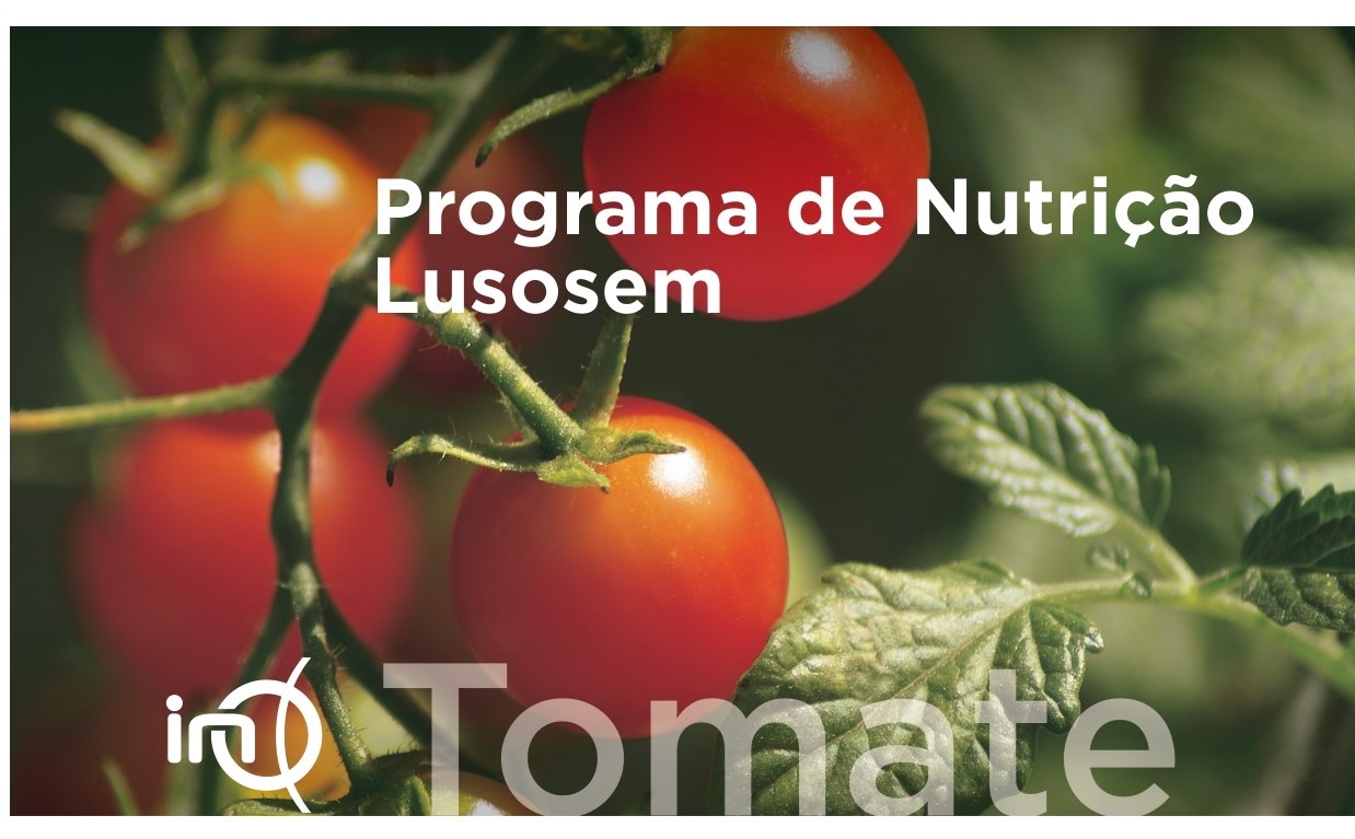 Programa de Nutrição Lusosem – INO Tomate