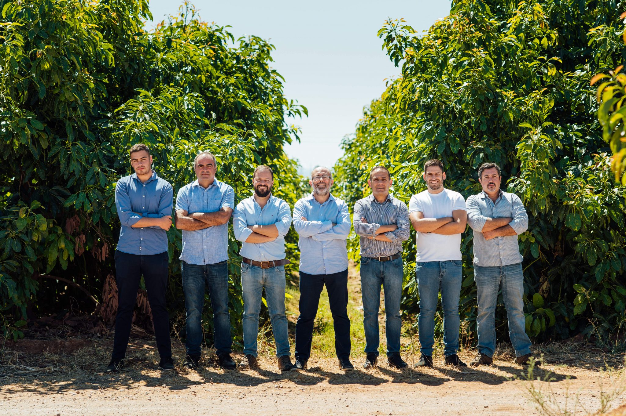 Global Avocados- nova empresa de produção e venda de abacate no Algarve