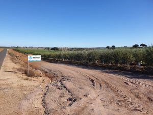 <strong>Magos Irrigation Systems organiza visitas a três obras de referência em olivais no âmbito da Ovibeja</strong>