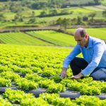 <strong>Alltech lança inquérito mundial sobre sustentabilidade no setor agroalimentar</strong>