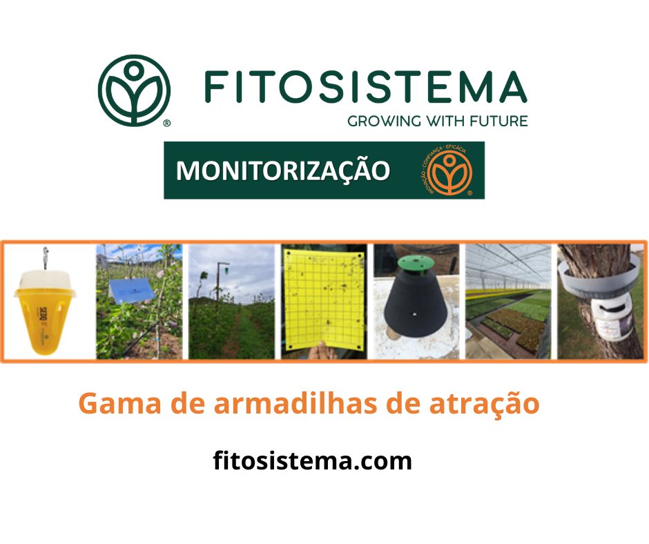 Fitositema apresenta armadilhas para monitorização de pragas agrícolas