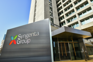 Read more about the article Syngenta e Heritable Agriculture aplicam Inteligência Artificial (IA) no melhoramento de variedades hortícolas