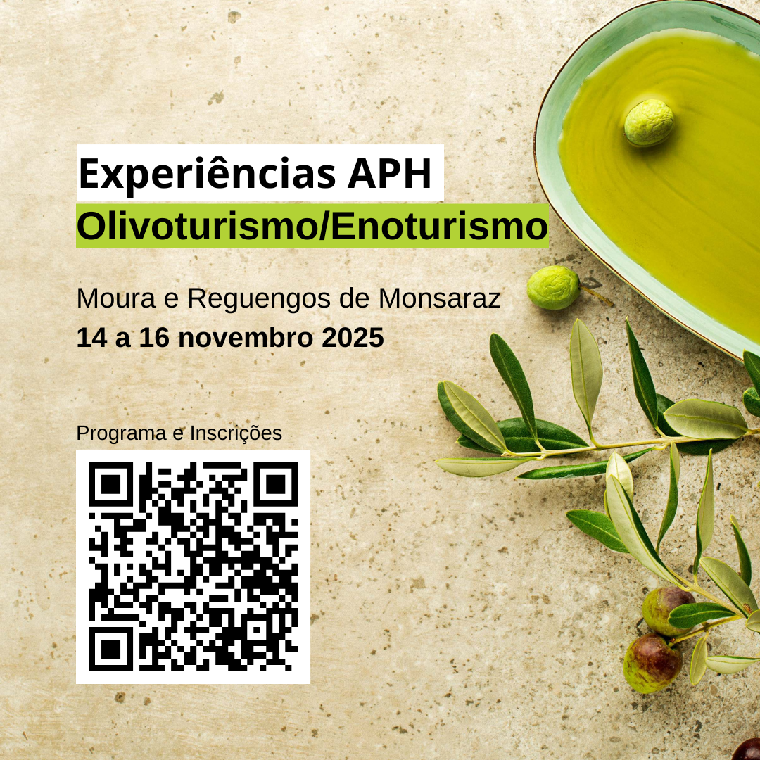 Read more about the article Experiências APH de Olivoturismo/Enoturismo, 14 a 16 Novembro, Alentejo