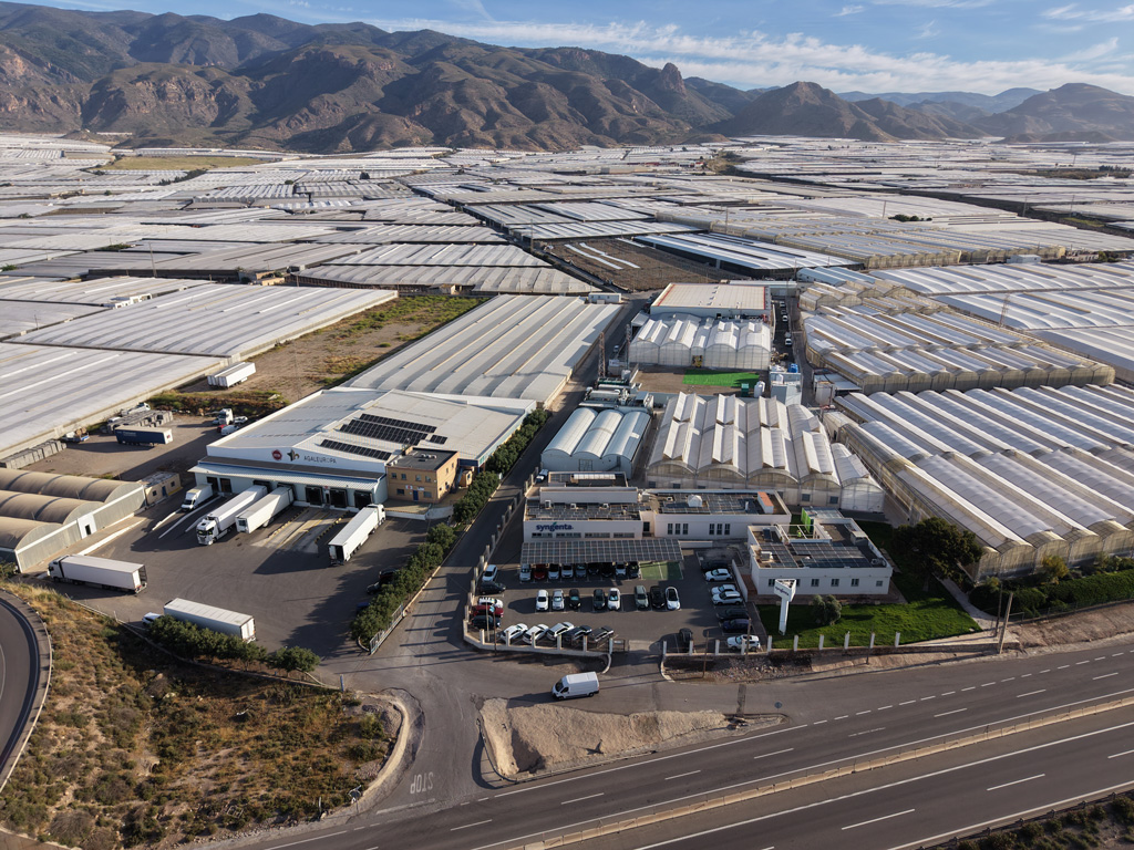 You are currently viewing Novo Centro Tecnológico da Syngenta reduzirá tempos de melhoramento genético de hortícolas e reforçará a segurança alimentar