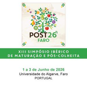Read more about the article Universidade do Algarve recebe peritos internacionais para combater desperdício alimentar em frutas e hortícolas