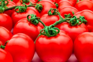 Read more about the article Syngenta apresenta tecnologia EXORT™ para aumentar a produtividade das culturas através dos mecanismos naturais das plantas